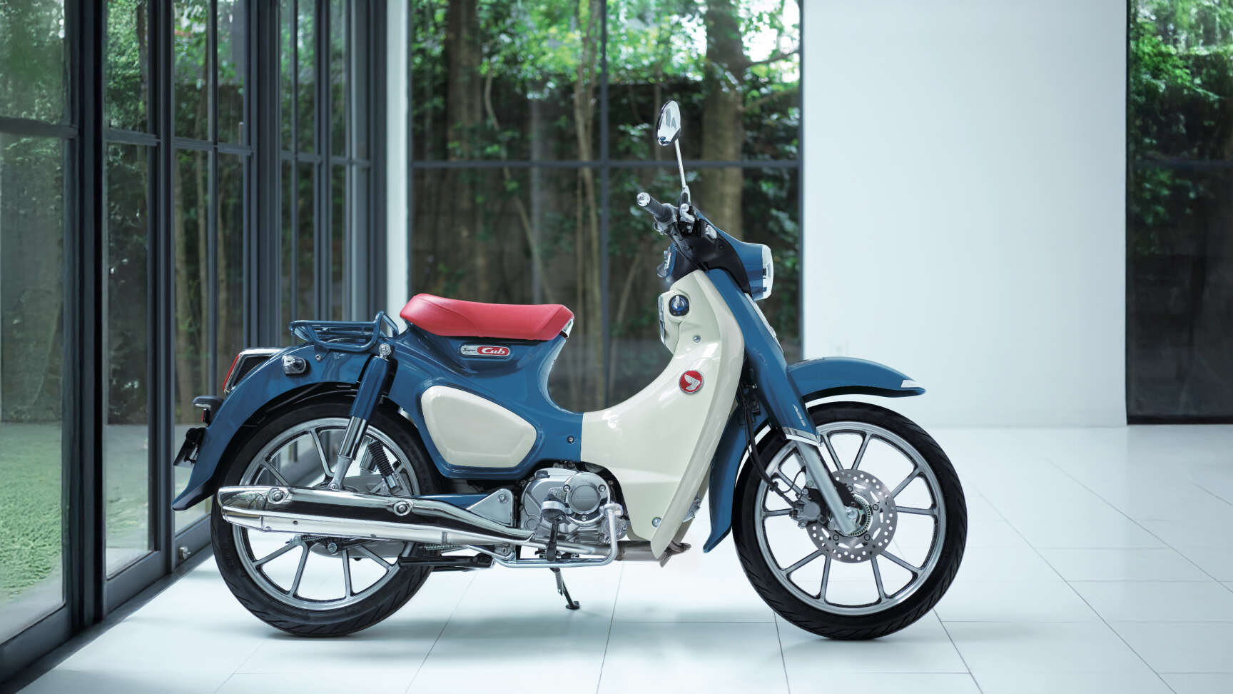 Életre szóló társ